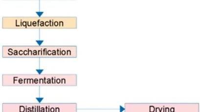 Figure 1. Dry grinded ethanol process / Acquisition of value-added ...