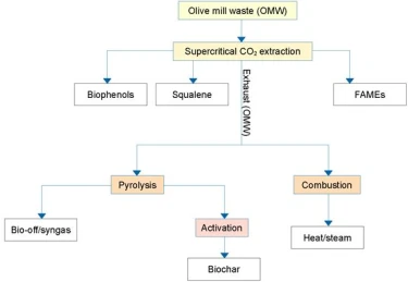 Figure 8. The process of obtaining fuel and biochar from olive mill waste