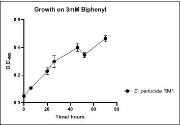 Figure 4. Growth of E. perlucida RM1 on 3mM biphenyl in DSMZ medium. Each point reflects a triplicate and the error bars represents the standard deviation of the mean