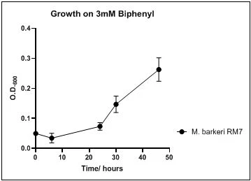 Figure 10. Growth of M. barkeri RM7 on 3mM biphenyl in DSMZ medium. Each point reflects a triplicate and the error bars represents the standard deviation of the mean