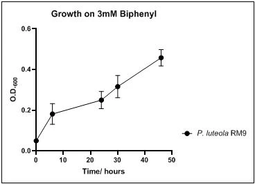 Figure 12. Growth of P. luteola RM9 on 3mM biphenyl in DSMZ medium. Each point reflects a triplicate and the error bars represents the standard deviation of the mean