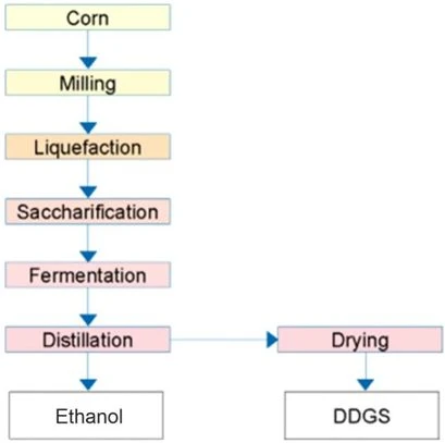 Figure 1. Dry grinded ethanol process
