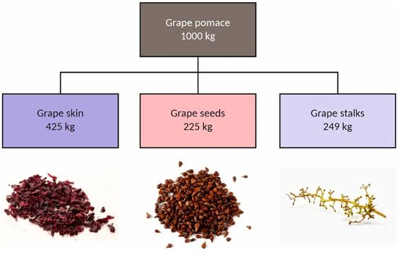 Figure 5. Components of grape puree
