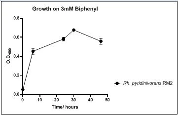 Figure 5. Growth of Rh. pyridinivorans RM2 on 3mM biphenyl in DSMZ medium. Each point reflects a triplicate and the error bars represents the standard deviation of the mean