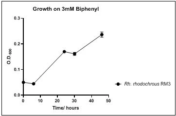 Figure 6. Growth of Rh. rhodochrous RM3 on 3mM biphenyl in DSMZ medium. Each point reflects a triplicate and the error bars represents the standard deviation of the mean