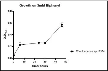 Figure 7. Growth of Rhodococcus sp. RM4 on 3mM biphenyl in DSMZ medium. Each point reflects a triplicate and the error bars represents the standard deviation of the mean