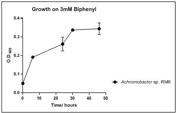 Figure 9. Growth of Achromobacter sp. RM6 on 3mM biphenyl in DSMZ medium. Each point reflects a triplicate and the error bars represents the standard deviation of the mean