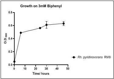 Figure 11. Growth of Rh. pyridinovorans RM8 on 3mM biphenyl in DSMZ medium. Each point reflects a triplicate and the error bars represents the standard deviation of the mean
